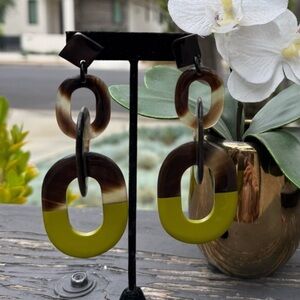 Elegant Brown and green buffalo horn lacquer Earrings